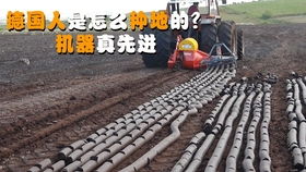 味精包裝機(jī),食品包裝設(shè)備,廠家直銷(xiāo),歡迎來(lái)廠驗(yàn)貨